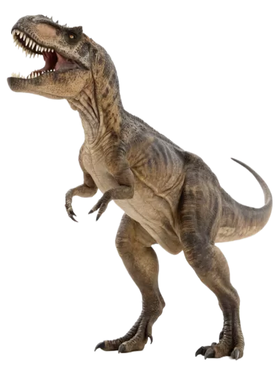 Imagen PNG para descargar